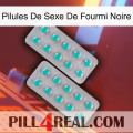 Black Ant Sex Pills 29